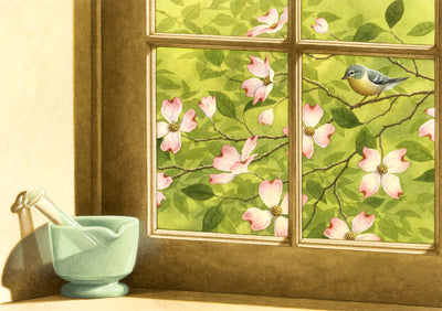 Spring Dogwood Window Print